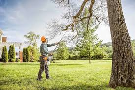 Reliable Willowbrook, IL  Tree Services Solutions